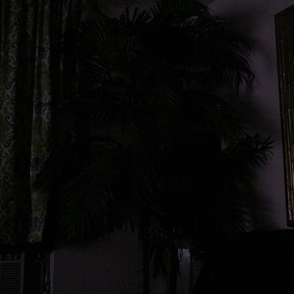 Meet your Posher, Maria - Picture 1 of 1